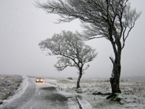 Irish-winters